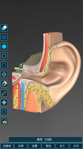 人体解剖学图集