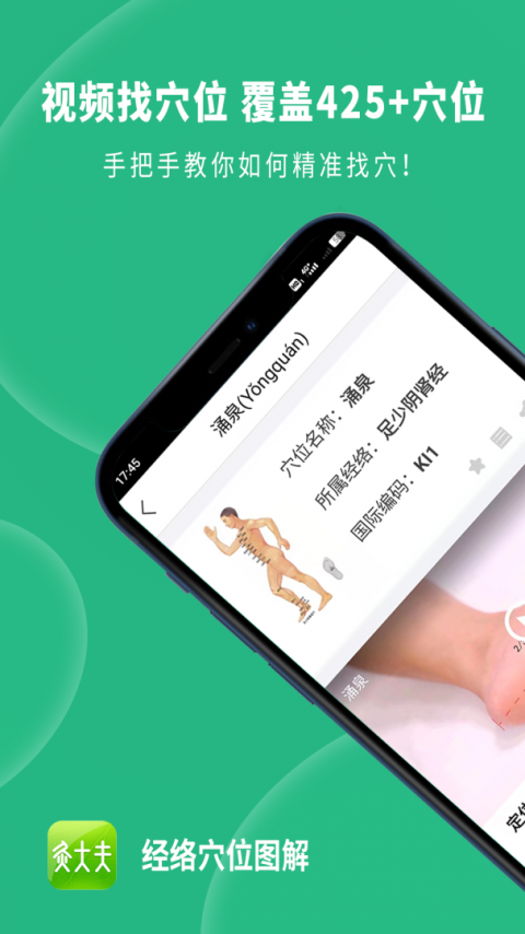 经络穴位图解软件