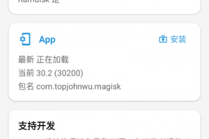 magisk金丝雀最新版