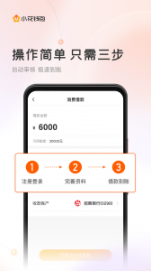 小花钱包借款app