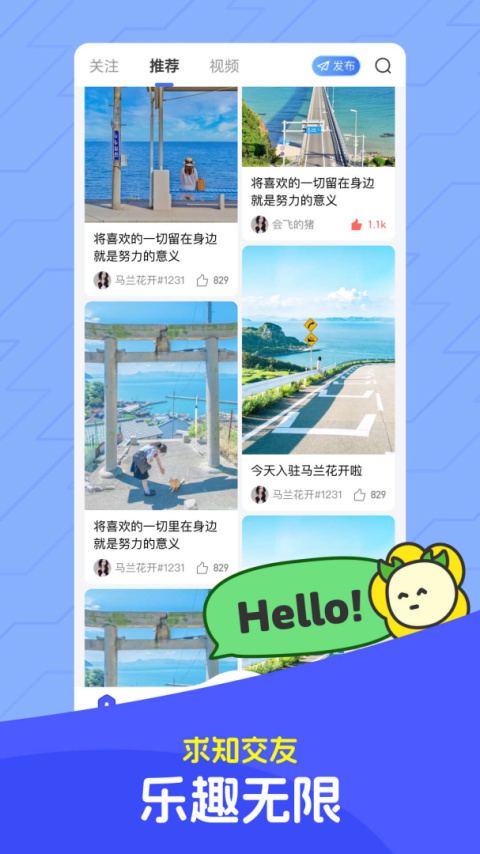 马兰花开