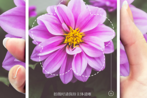 形色植物识别app