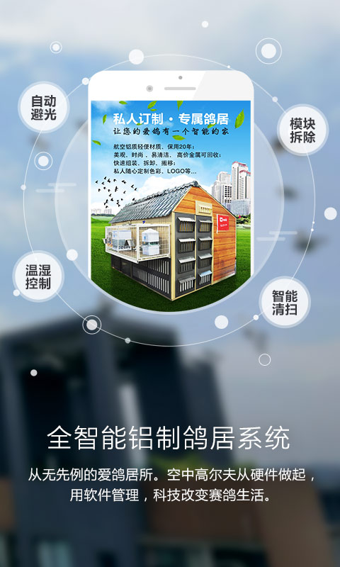 爱鸽者最新版