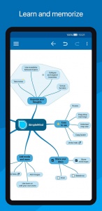 SimpleMind Pro最新版