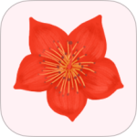 爱我崇左官方版