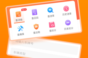车况查询app