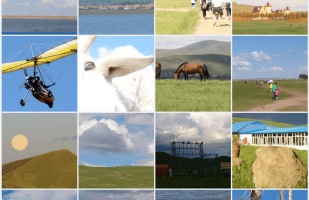 手机qq恢复的手机软件合集