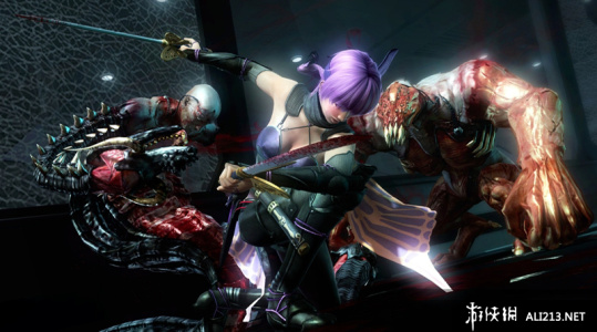 忍者龙剑传3：刀锋边缘