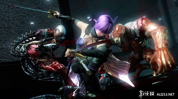 忍者龙剑传3：刀锋边缘