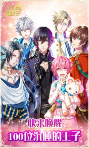 梦王国与沉睡的100王子游戏