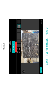 石全石美官方免费版