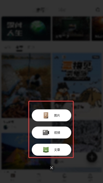 觅野camp官方版app
