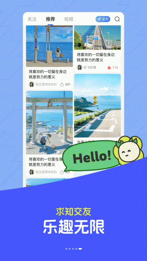 马兰花开