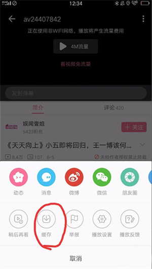 哔哩哔哩纯净版