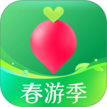 叮咚买菜官方版