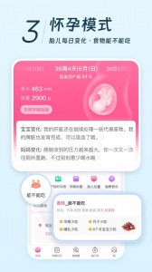 美柚app