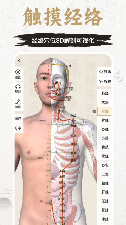 中济经络穴位app