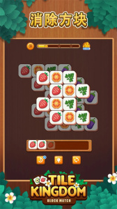 3 tiles国际版