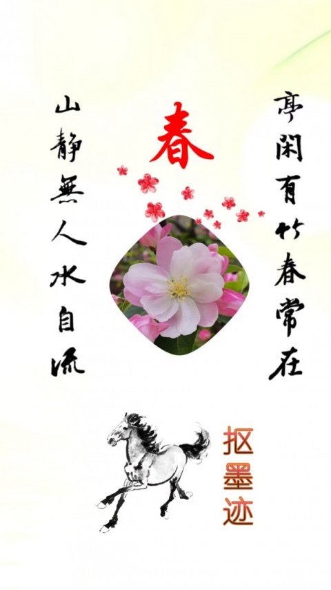 抠图宝app