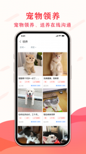 宠夫子app