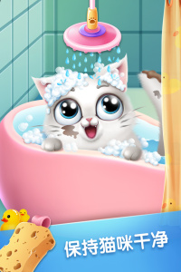 口袋猫咪小游戏