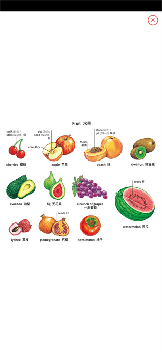 牛津高阶英汉双解词典app