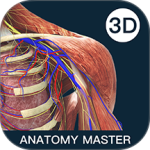 解剖大师手机版