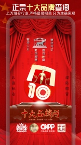 十大品牌CNPP手机版