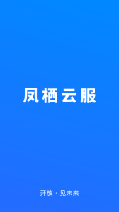 凤栖云服app