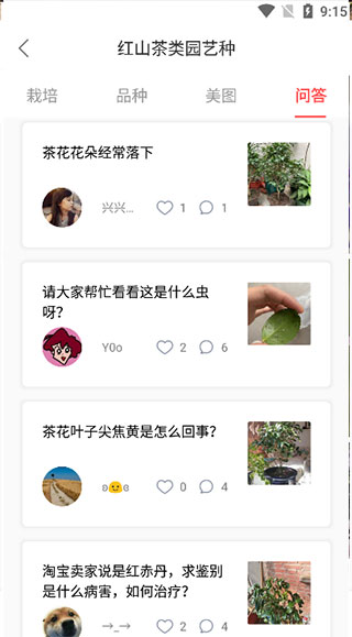 花信手机版