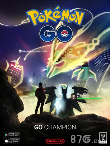 精灵宝可梦go中文版