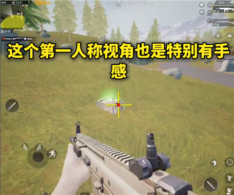 画质mxpro工具app