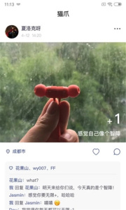 猫爪交友极速版