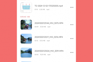 格式大师app