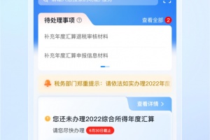 国家税务总局个人所得税app