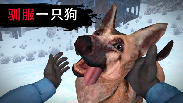 冬季生存最新版