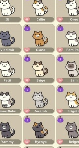 神秘猫咪字典手游