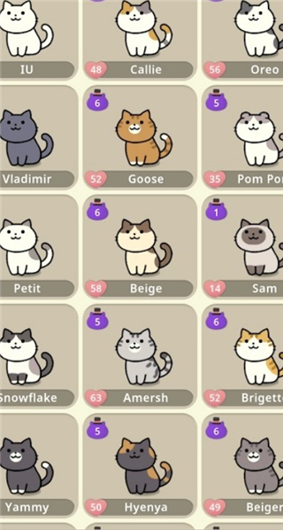 神秘猫咪字典手游