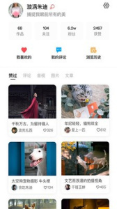 快闪短视频免购买版