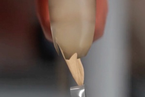 法医大师游戏