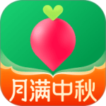 叮咚买菜官方版