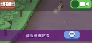 疯狂动物园内购破解版