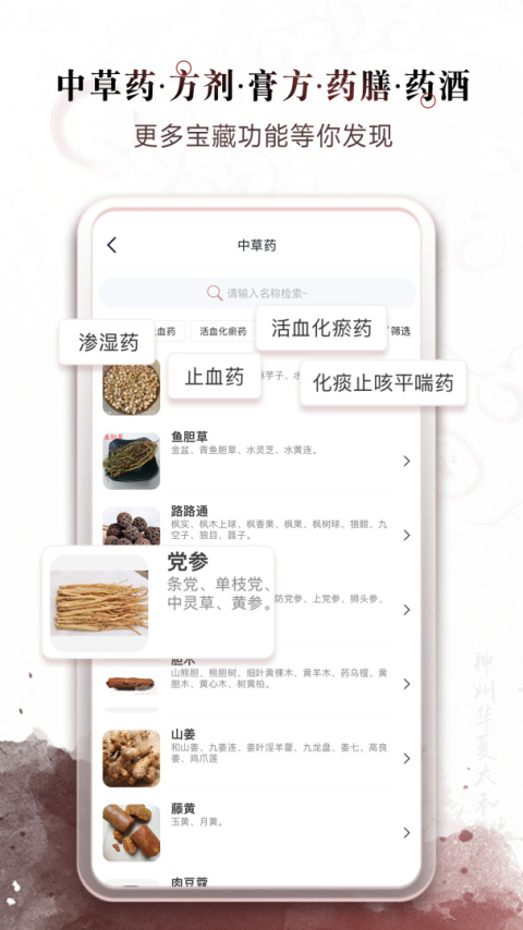 中医经络穴位