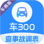 车300专业版官方版