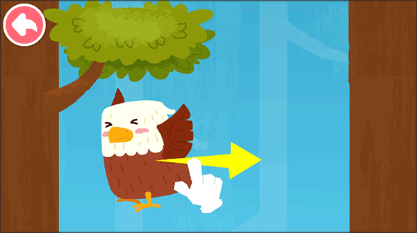 宝宝鸟类认知app