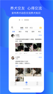 犬卫士app