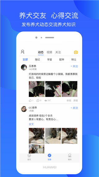 犬卫士app