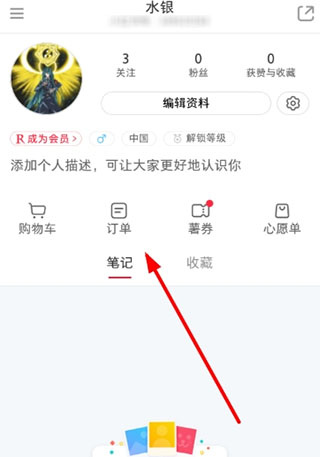小红书国际版(REDnote)
