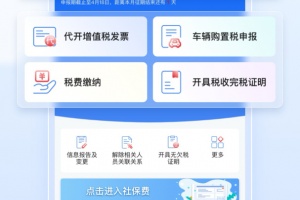 电子税务局app
