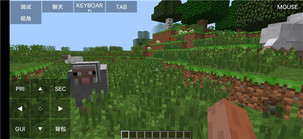 Minecraft Java版
